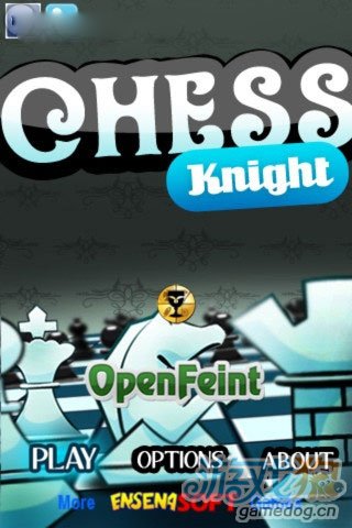 《象棋骑士》（bothChess Knight）游戏画面