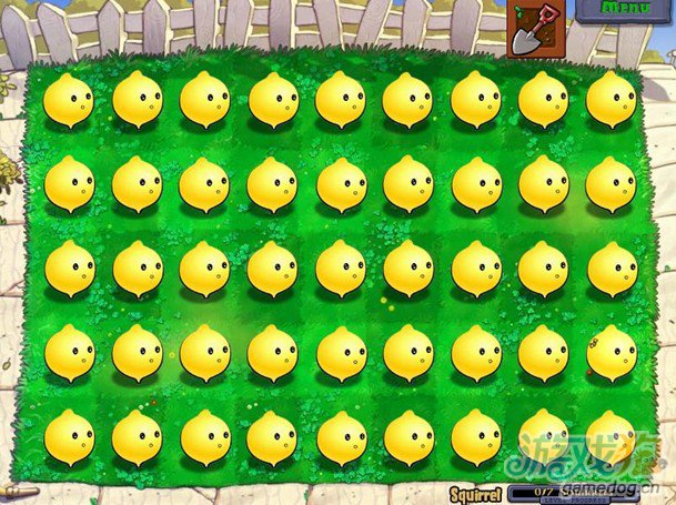 柠檬圆大战僵尸截图_游戏狗植物大战僵尸