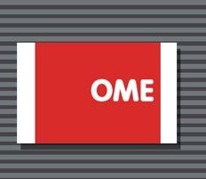狂妄猜图解析2个字 ome品牌谜底