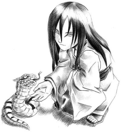 口袋忍者S忍 大蛇丸 排行分析_口袋忍者_游戏狗