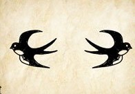 成語玩命猜兩隻燕子飛向相反的方向答案是什麼？