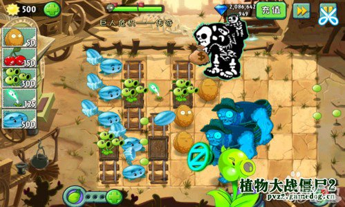 植物大战僵尸2功夫世界巨人危机玩法介绍(2)