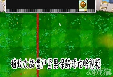 植物大战僵尸坚果保龄球攻略视频