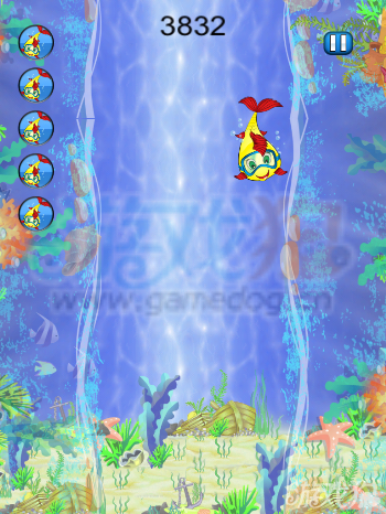 快乐小鱼的视频 187-140RG60K80.png