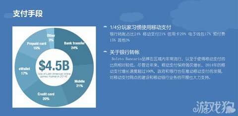 巴西人口总结_巴西人口分布图(3)