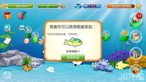 开心水族箱虎纹鱼获得成功图鉴收集完成