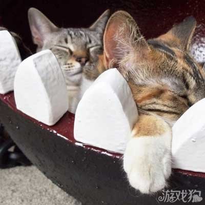 也不难做啊,把家里不穿的破衣服或旧的被子放进一个大的纸箱里面(那种