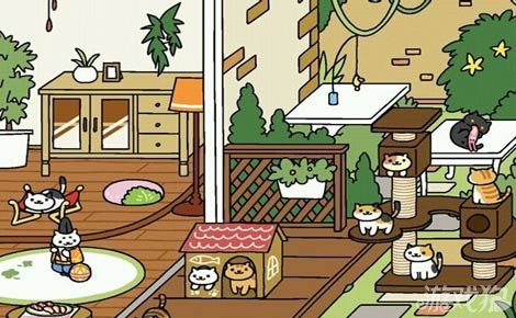 猫咪后院特殊猫咪有哪些独特喜好_猫咪后院