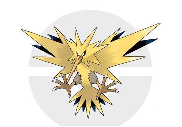 口袋妖怪复刻手游闪电鸟配招讲解