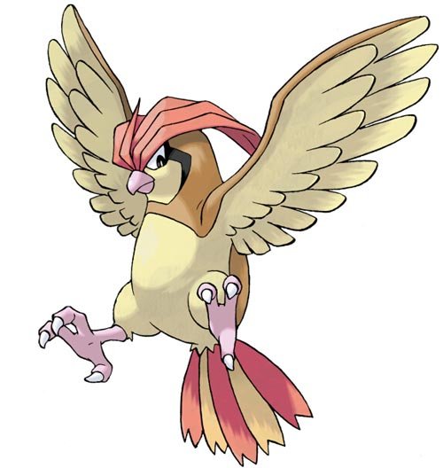 口袋妖怪复刻比比鸟精灵能力浅析