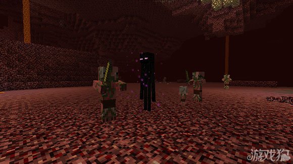 ps:地狱有enderman?