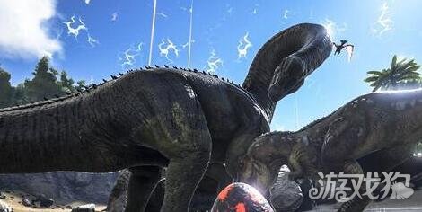 方舟生存进化下蛋斑龙驯服方法_方舟生存进化