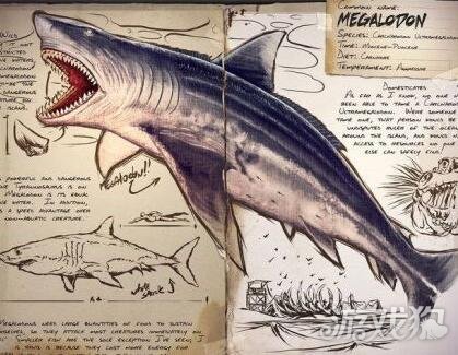 方舟生存进化巨齿鲨驯养方式与基础成长介绍_