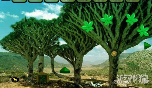 老版本龙血树获取 1922511-1G025104H00-50.jpg