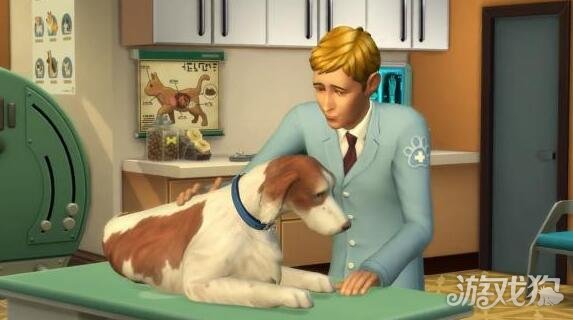 模拟人生4猫狗总动员驯养宠物必备技巧全解_