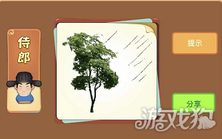 有一棵树猜成语_一棵树图片(2)