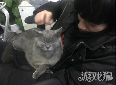 人气战队携萌宠来袭 QGhappy全员入驻触手直