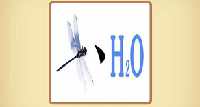 H2O蜻蜓成语疯狂猜图_蜻蜓简笔画(2)