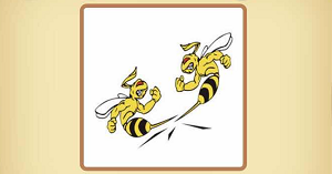两只蜜蜂分开猜成语_蜜蜂卡通图片