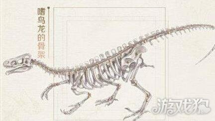 奇迹暖暖下列哪种生物曾经与恐龙生活在同一时