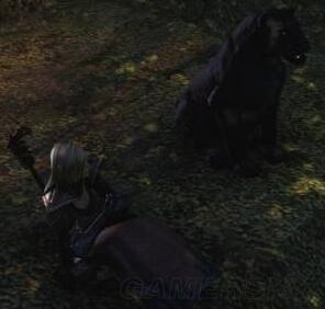 上古卷轴ol注册教程 1922511-1PHG551190-50.jpg