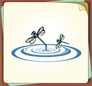 猜成语蜻蜓点水怎么解释_蜻蜓点水怎么画图片
