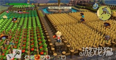 勇者斗恶龙建造者2入手树种子途径教学