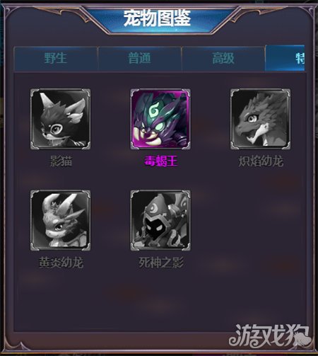 四眼小魔宠物怎么激活 宠物有哪些用途