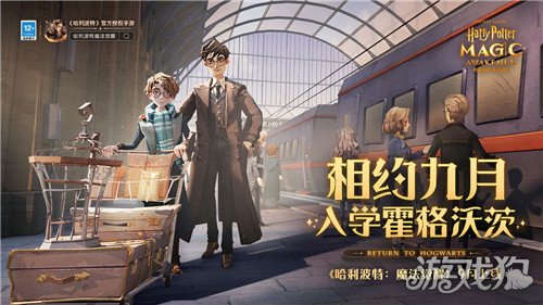 哈利波特魔法觉醒哈利回响卡组推荐