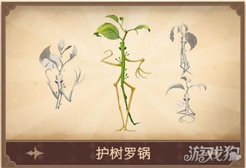 您的当前位置:>游戏狗>哈利波特魔法觉醒>正文 上午先逗弄护树罗锅3次