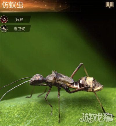 小小蚁国仿蚁虫强度如何 仿蚁虫值得培养吗