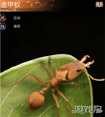 小小蚁国金甲蚁技能介绍 增加全队防御
