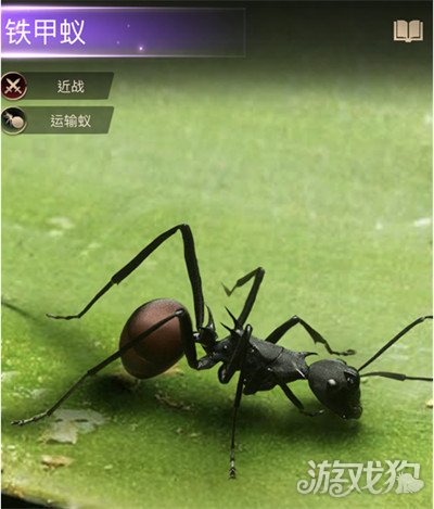 小小蚁国铁甲蚁技能介绍 近战运输蚁