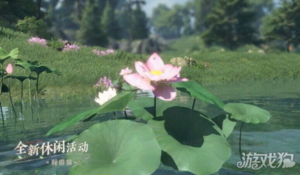 離夢幻開局就差一點！開場不到1分鐘，張?；蝿映樯渖陨云鲎箝T柱