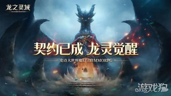 龙之灵域玩法亮点分析 西方魔幻风格MMORPG手游-快乐广场