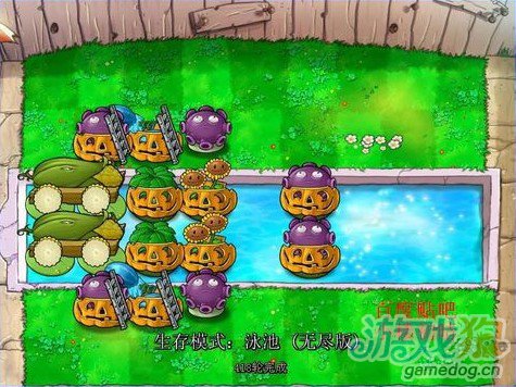 植物大战僵尸简易版2炮阵型分析及视频