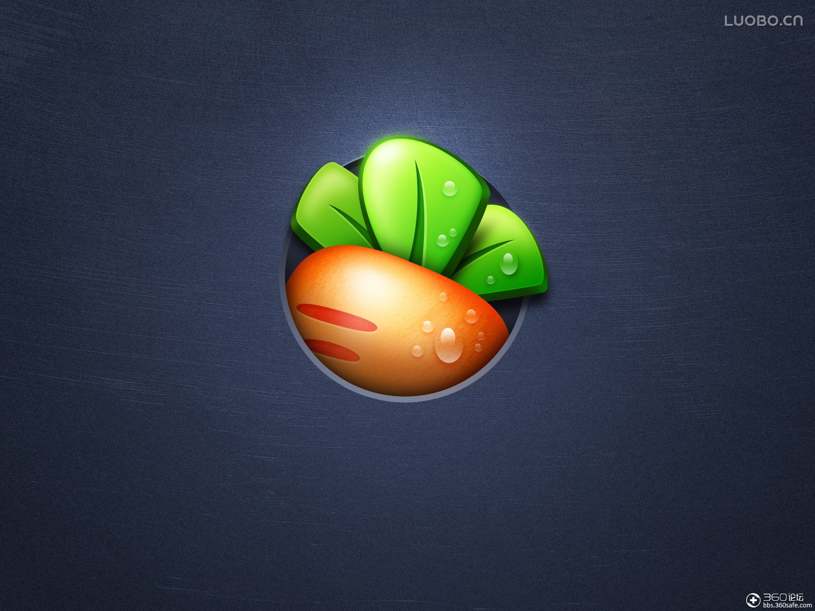 保卫萝卜高清壁纸下载(4)