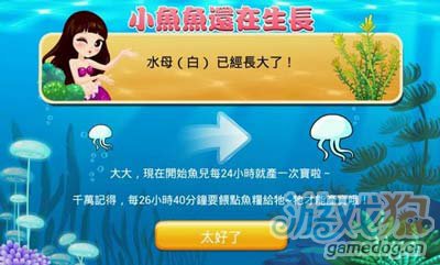 开心水族箱鱼友最喜欢的鱼交流分享1