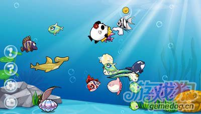 开心水族箱养鱼日历简单解析3