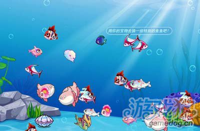 开心水族箱贝币及元宝获得方式解析2