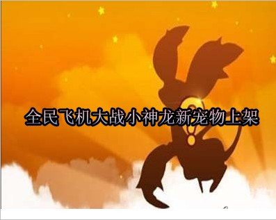 小神龙新宠物上架