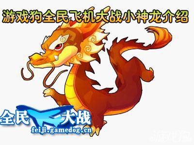 小神龙介绍 新款宠物介绍