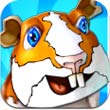 瘋狂動物酷跑