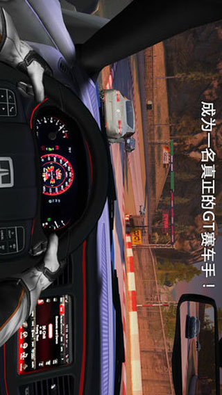 GT赛车2截图5