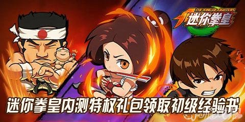 迷你拳皇内测特权礼包领取初级经验书