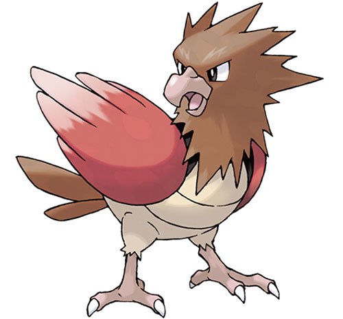 口袋妖怪复刻烈雀种族值属性介绍_游戏狗