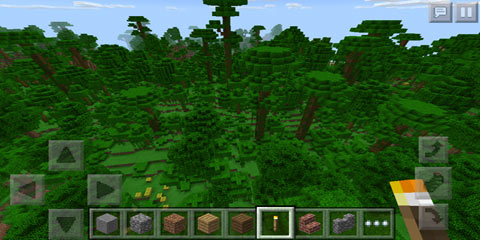 我的世界v0.14热带雨林地形种子