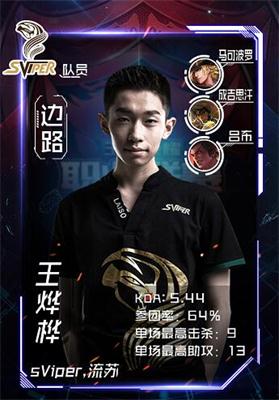 战队采访:潜伏在暗处的"毒蛇"sviper