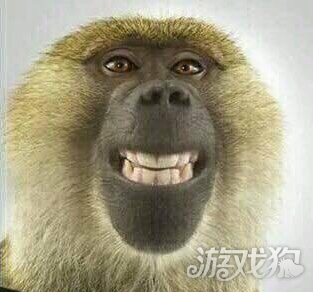 卢本伟狒狒表情包图片