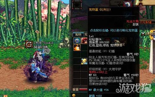 超值宠物盘点 dnf特别宠物礼盒中的好宠物